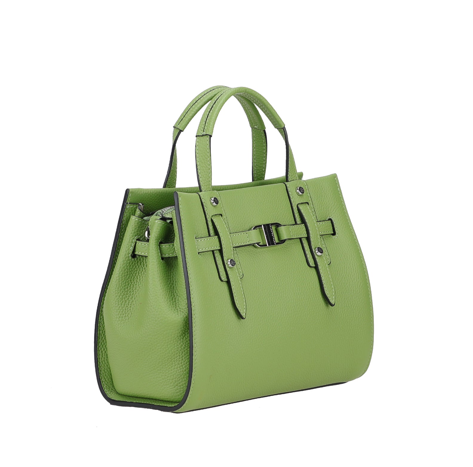 Daphne S leather handbag